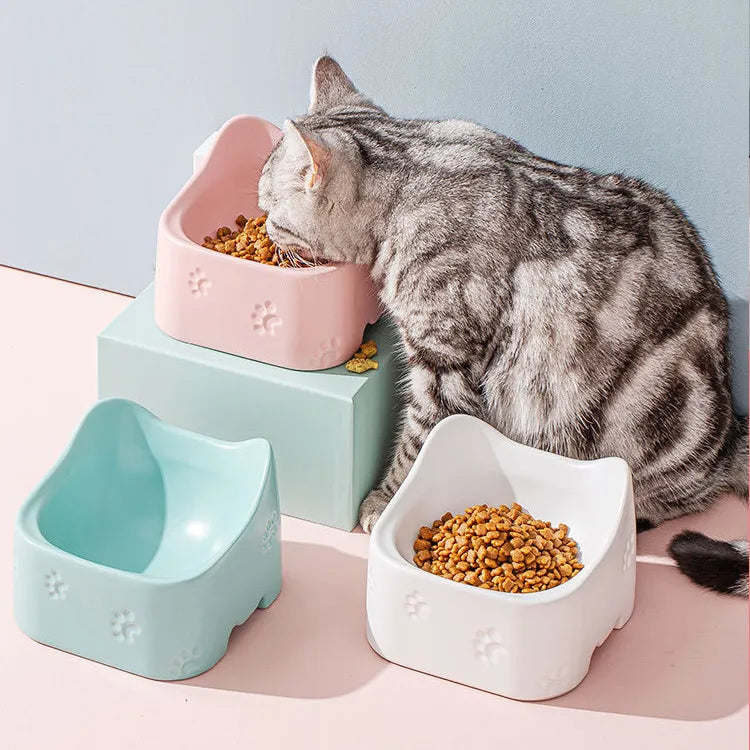 Ergonomic raised cat feeding bowl for comfortable dining, features non-slip base for stability. Promotes pet health.