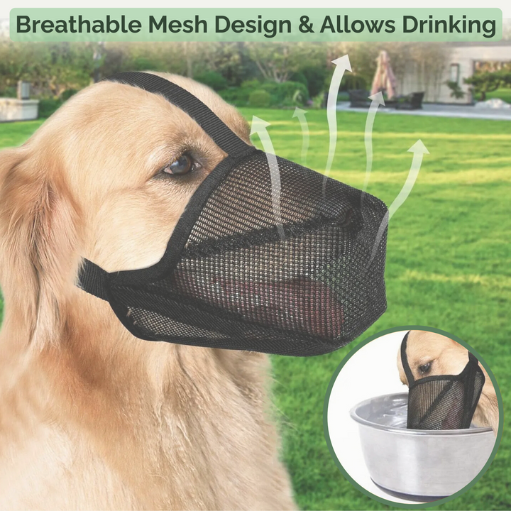 Close-up of soft, breathable AirMesh fabric on a comfortable dog muzzle for pet training.