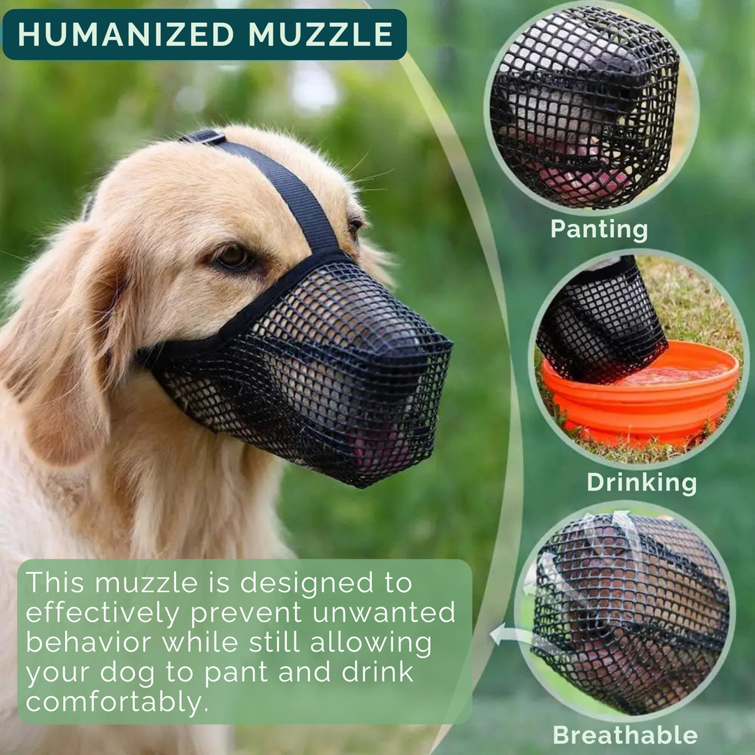 Breathable AirMesh dog muzzle ensures ultimate comfort for pets during training and walks.