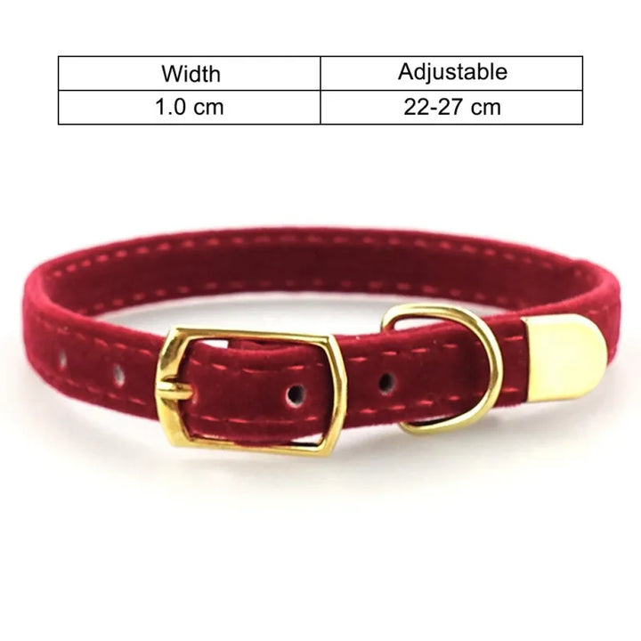 Premium velour cat collar with a distinct golden buckle; adjustable and soft for ultimate comfort.