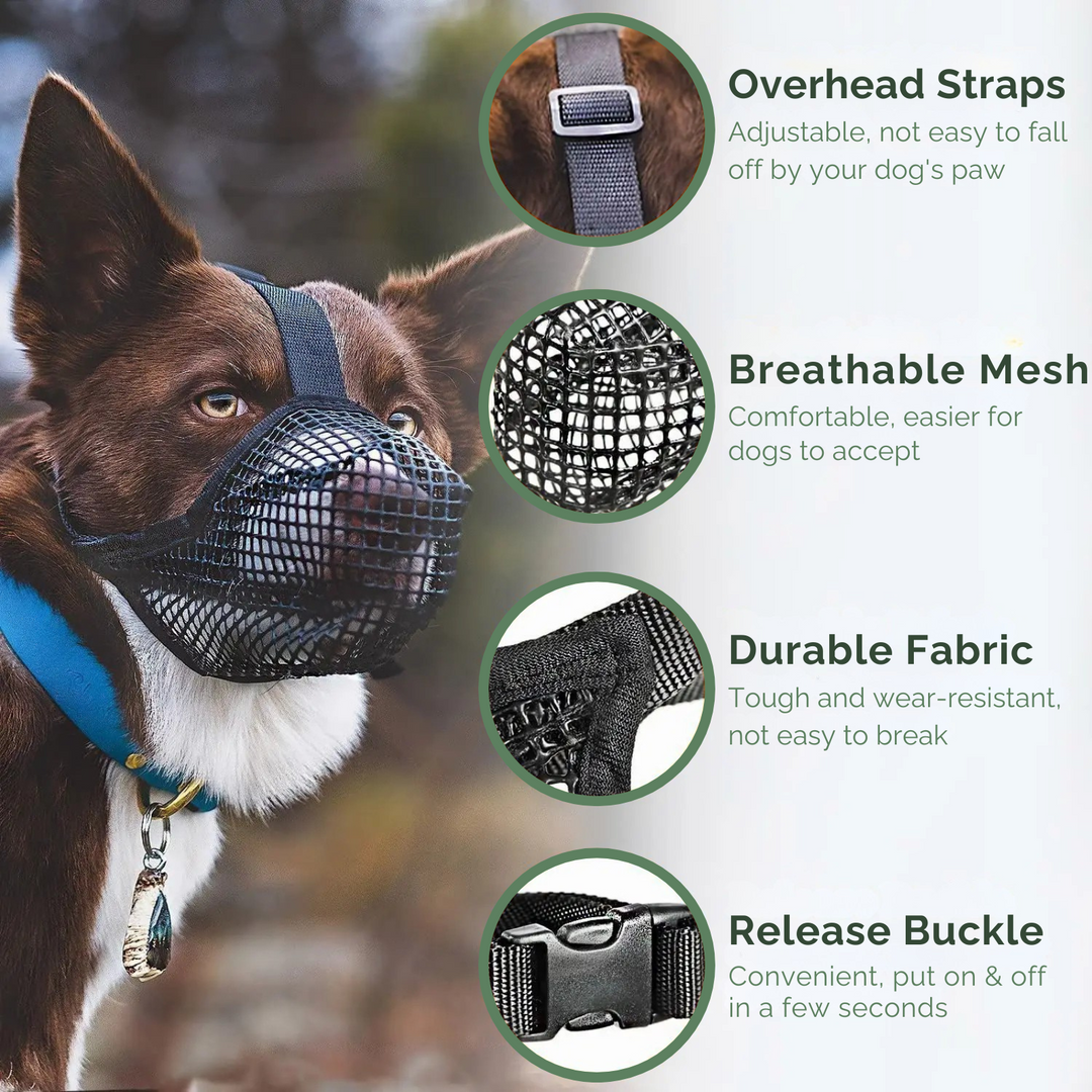 Adjustable AirMesh dog muzzle provides safety, preventing biting, barking, and chewing during training.