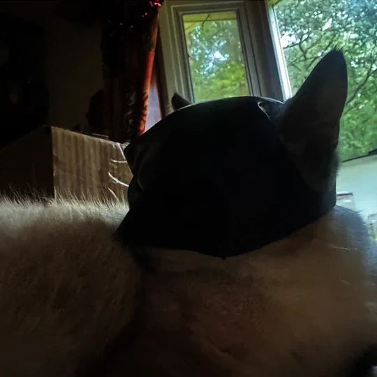 Funny cat mask designed for pet cosplay & Halloween, making your cat a heroic animal.