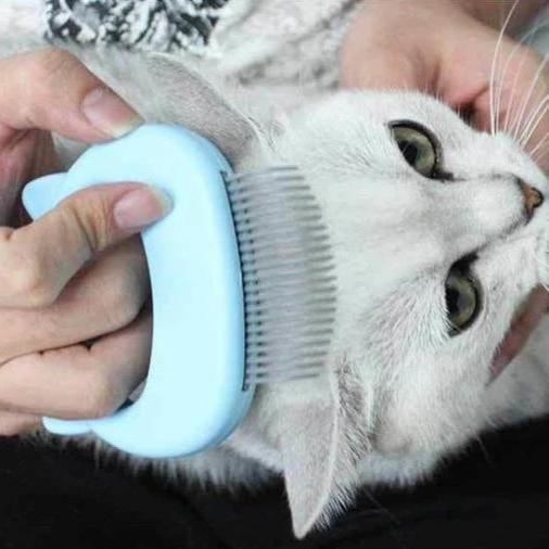 Gentle silicone cat brush for massage & grooming, promotes healthy fur, deshedding, and hairball prevention.