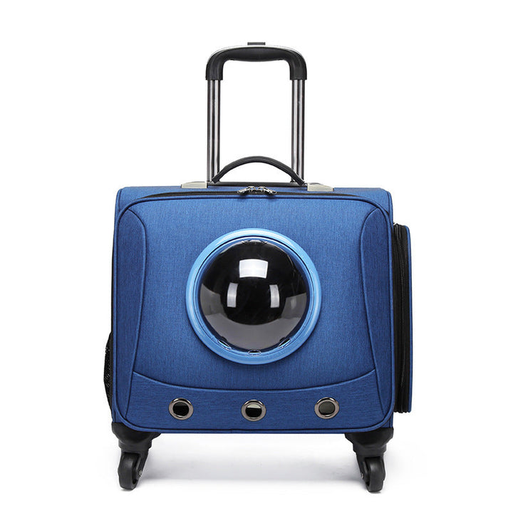 Ventilated cat & small dog travel carrier for cars, offering a panoramic view for pets. Easy, secure pet transport.