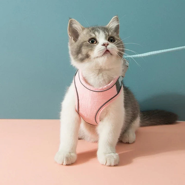 Adjustable reflective cat harness, perfect for secure feline exploration.