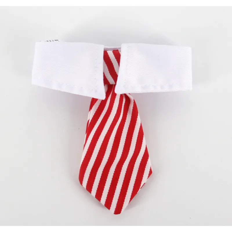 Adorable pet collar with tie, perfect formal petwear for dogs & cats' special events.