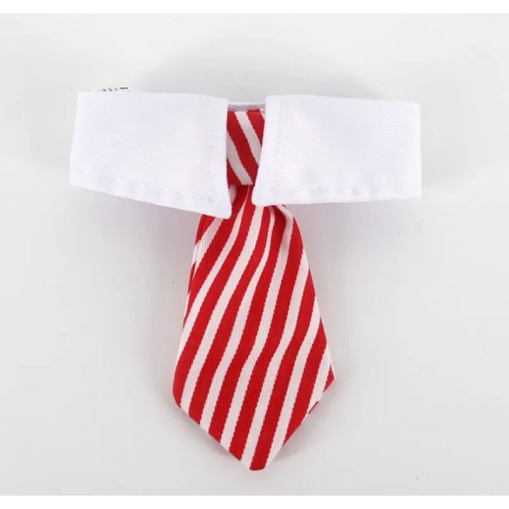 Adorable pet collar with tie, perfect formal petwear for dogs & cats' special events.