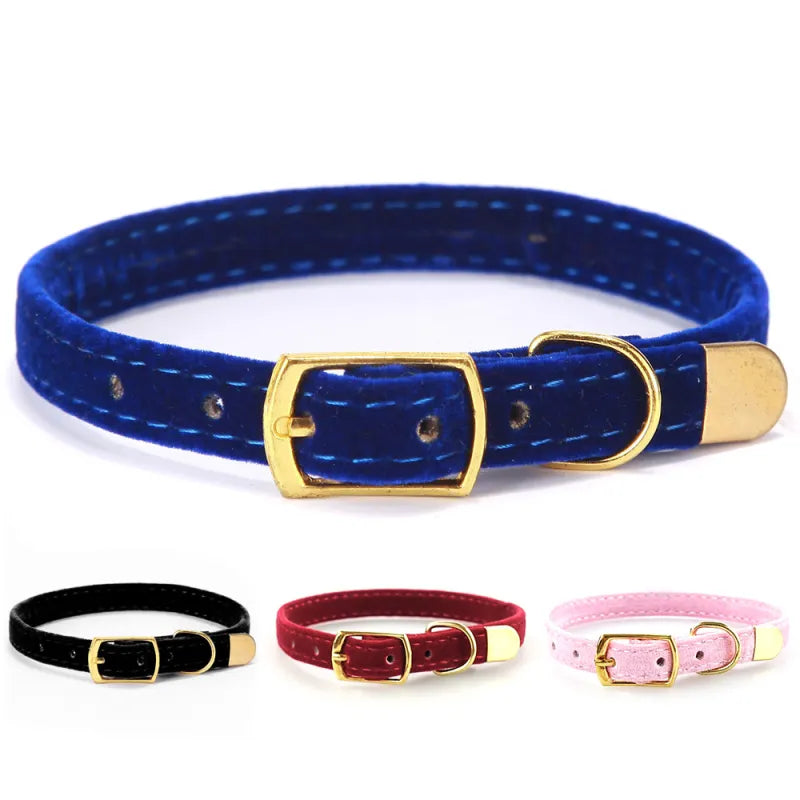 Rosa velour cat collar, soft and adjustable, highlighted by an elegant golden buckle.
