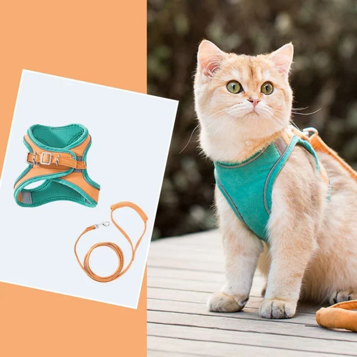 Adventure-ready cat harness with reflective strips for enhanced visibility.