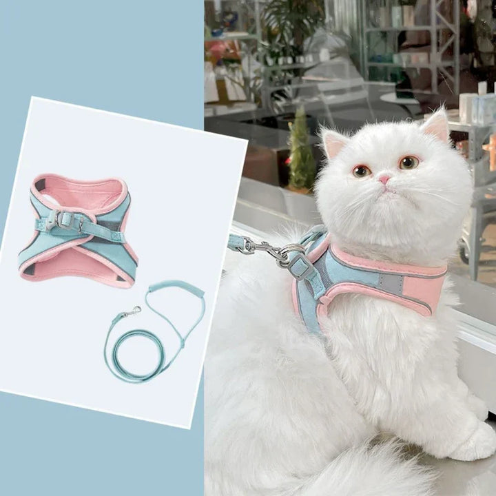 Soft mesh cat harness offering breathability for active outdoor cats.