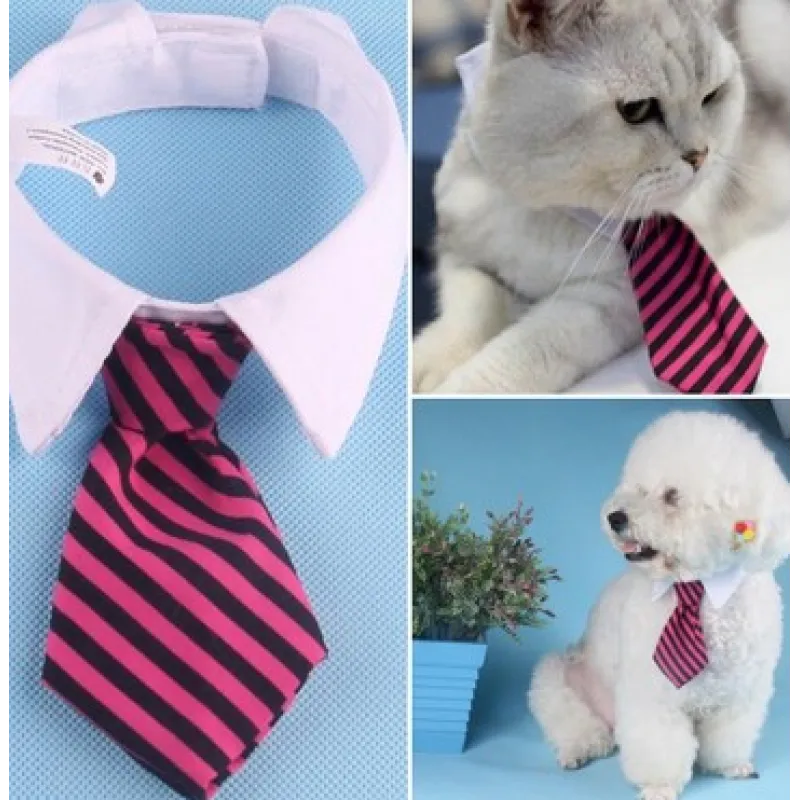 Striped dog collar with a classy bowtie, an elegant pet accessory for your canine.