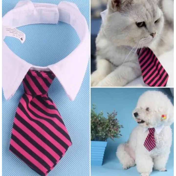 Striped dog collar with a classy bowtie, an elegant pet accessory for your canine.