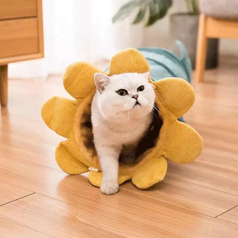 Charming flower design cat play tunnel, soft fabric for feline fun, activity, and a comfortable pet hideout.
