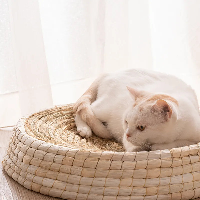 Cozy handmade cat bed, a natural pet nest for comfortable feline sleep and relaxation. Perfect sleep sanctuary.