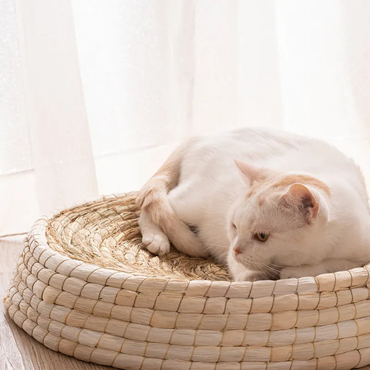 Cozy handmade cat bed, a natural pet nest for comfortable feline sleep and relaxation. Perfect sleep sanctuary.