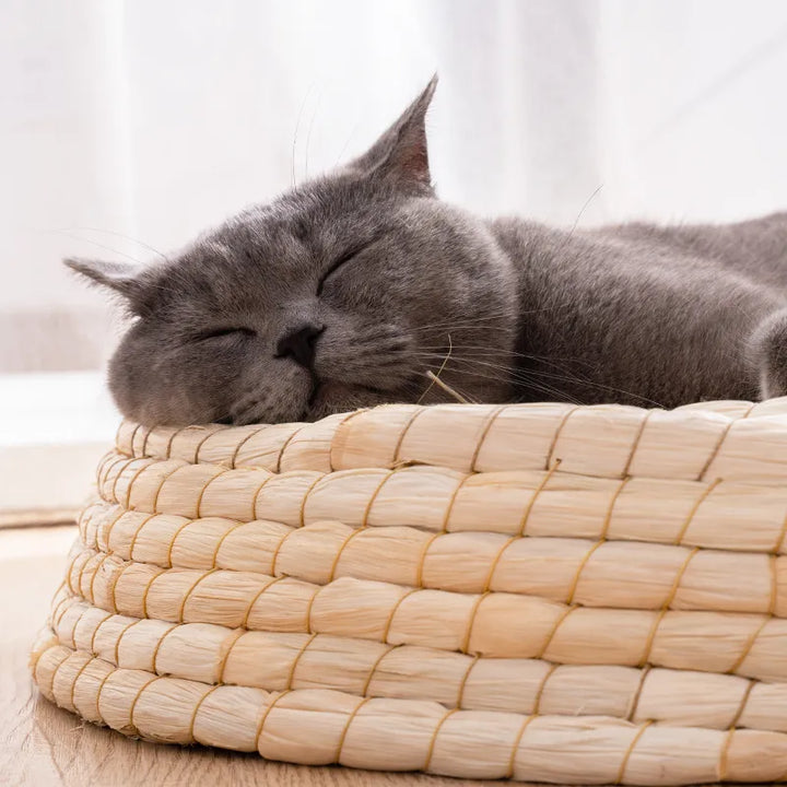 Handmade natural cat bed, a cozy pet nest designed for deep feline comfort and a peaceful sleep sanctuary.