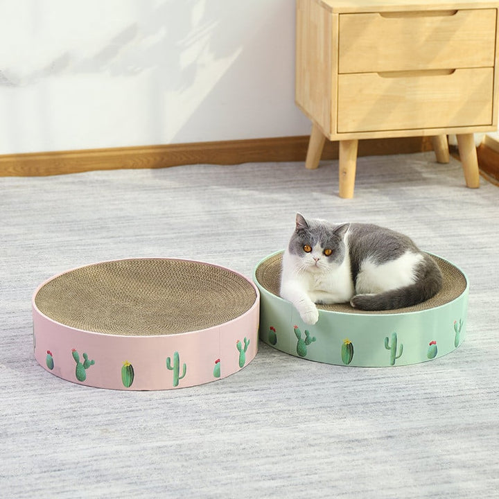Modern cactus cat scratching board, durable furniture protector for feline play and stylish home decor.