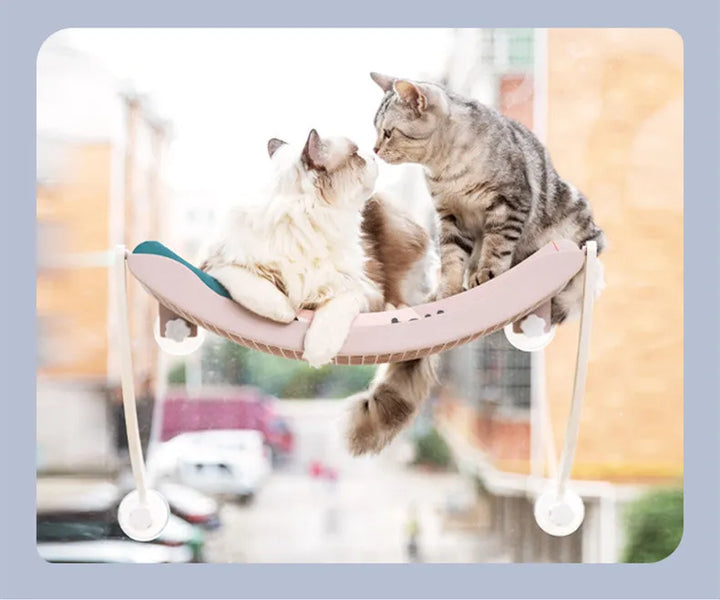 Cat window hammock, stable suction cup perch for indoor cats to sunbathe & relax.
