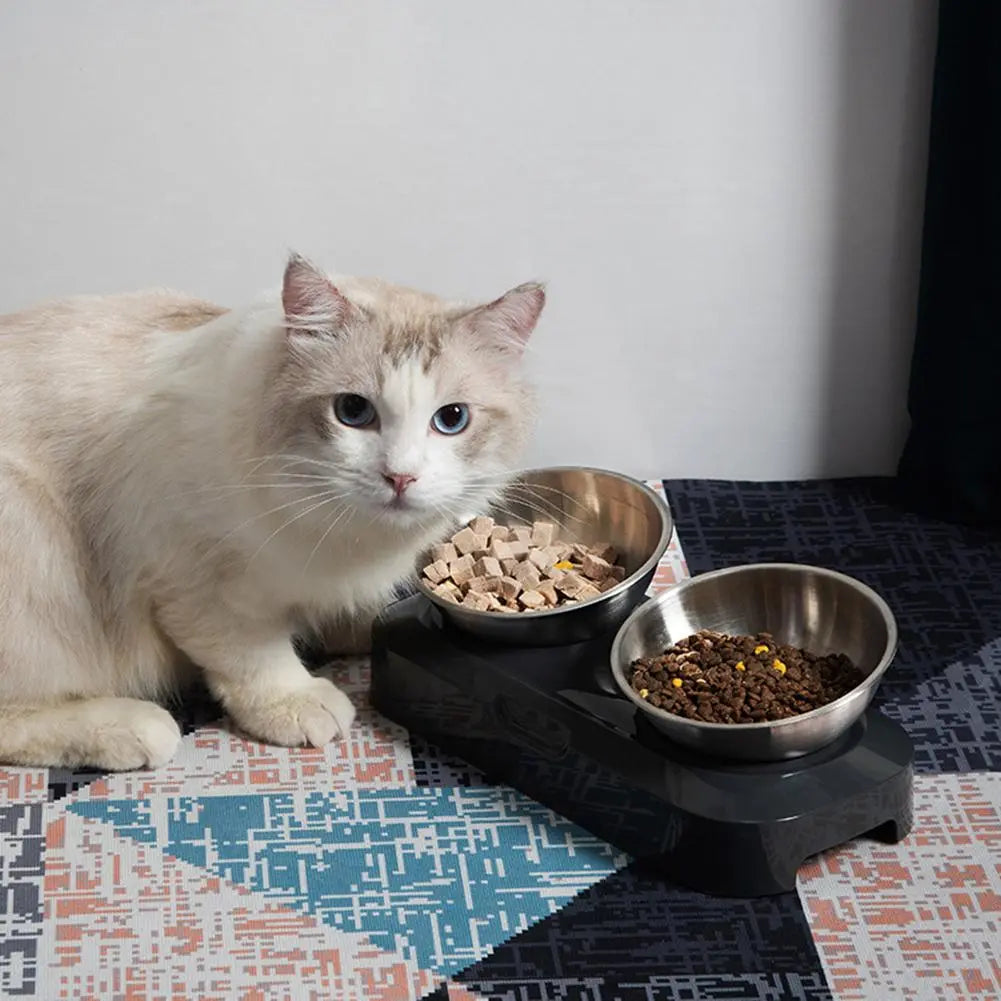Ergonomic elevated cat bowls for comfortable eating & drinking. Double stainless steel, easy to clean.