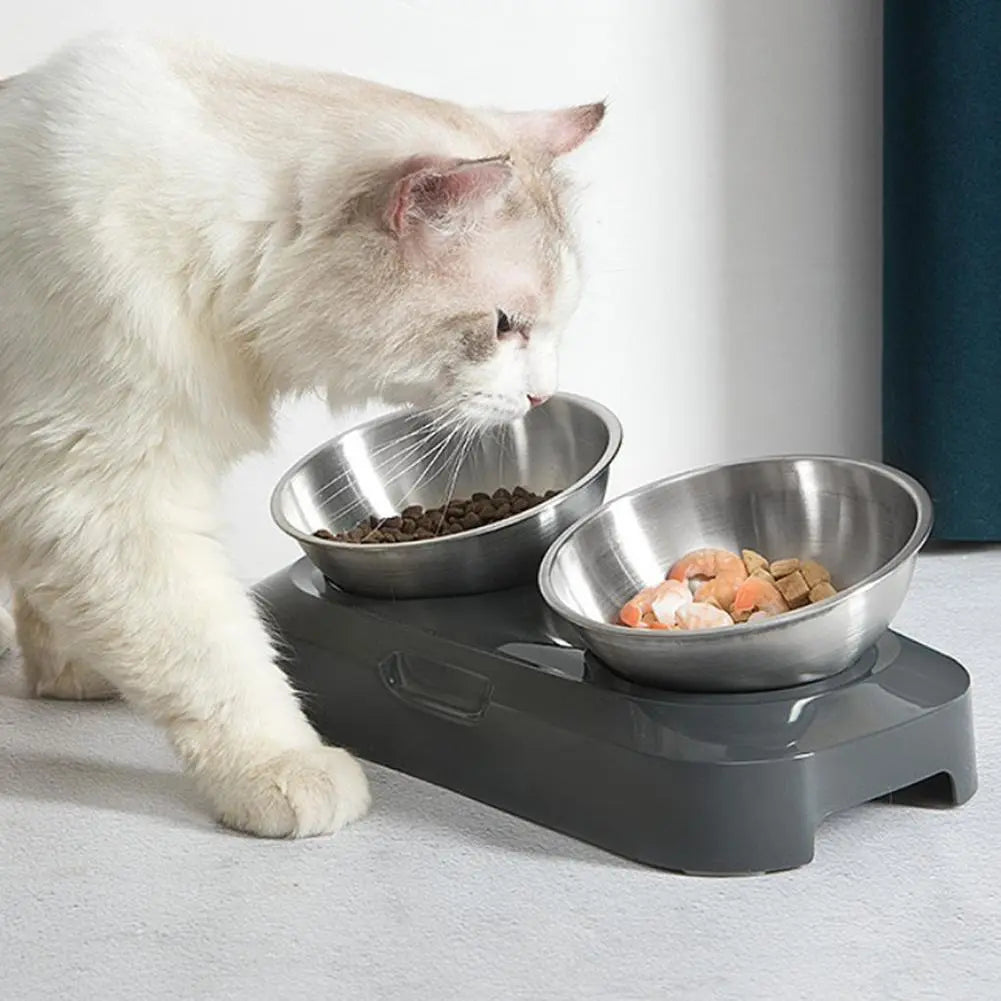 Durable stainless steel elevated double bowls for cats. Perfect pet feeder, dishwasher safe accessory.
