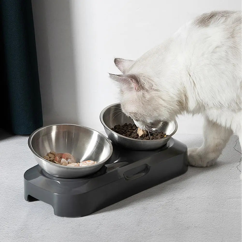Healthy elevated double cat bowls for food & water. Ergonomic design, stainless steel, easy cleaning.