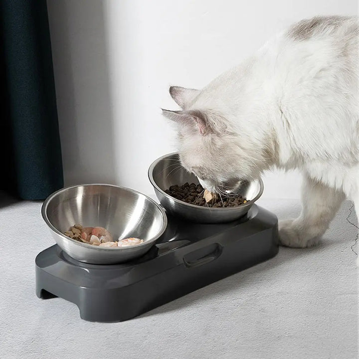 Healthy elevated double cat bowls for food & water. Ergonomic design, stainless steel, easy cleaning.