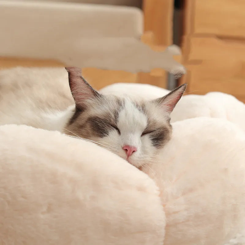 Decorative flower cat bed, a cozy pet accessory with a washable design for small cats and kittens.