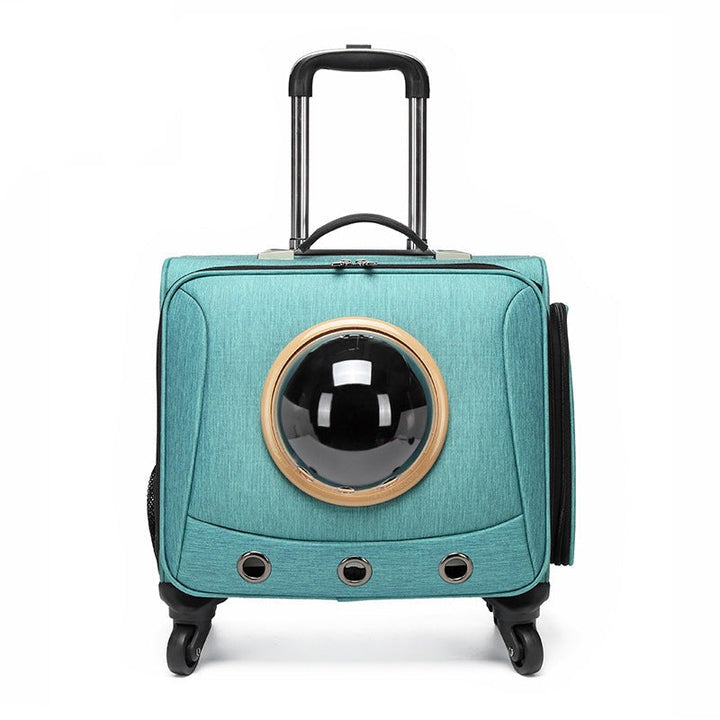 Panoramic pet carrier for safe car travel with cats & small dogs; durable, ventilated, and comfortable design.