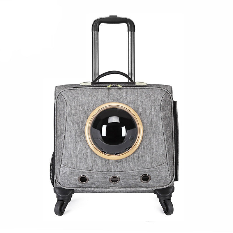Durable pet travel carrier for cats & small dogs, designed for cars with a panoramic ventilated view for comfort.