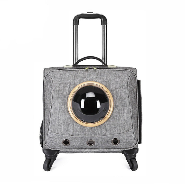Durable pet travel carrier for cats & small dogs, designed for cars with a panoramic ventilated view for comfort.