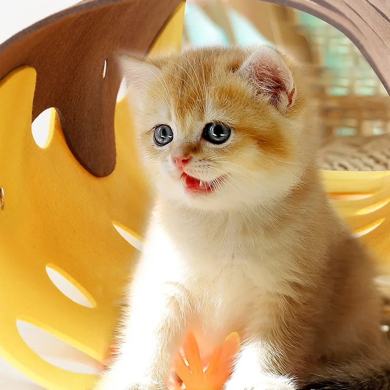 Flexible felt cat tunnel with peek-a-boo holes for interactive pet play & feline exercise.