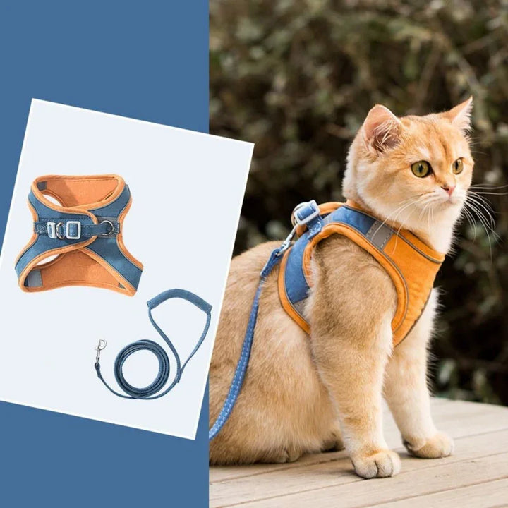 Front-clip cat harness preventing pulling during outdoor adventures.