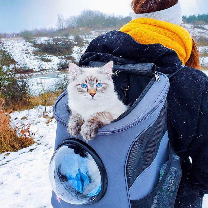 Durable cat carrier backpack, ideal for safe pet travel, walks, and vet visits. Easy to carry.