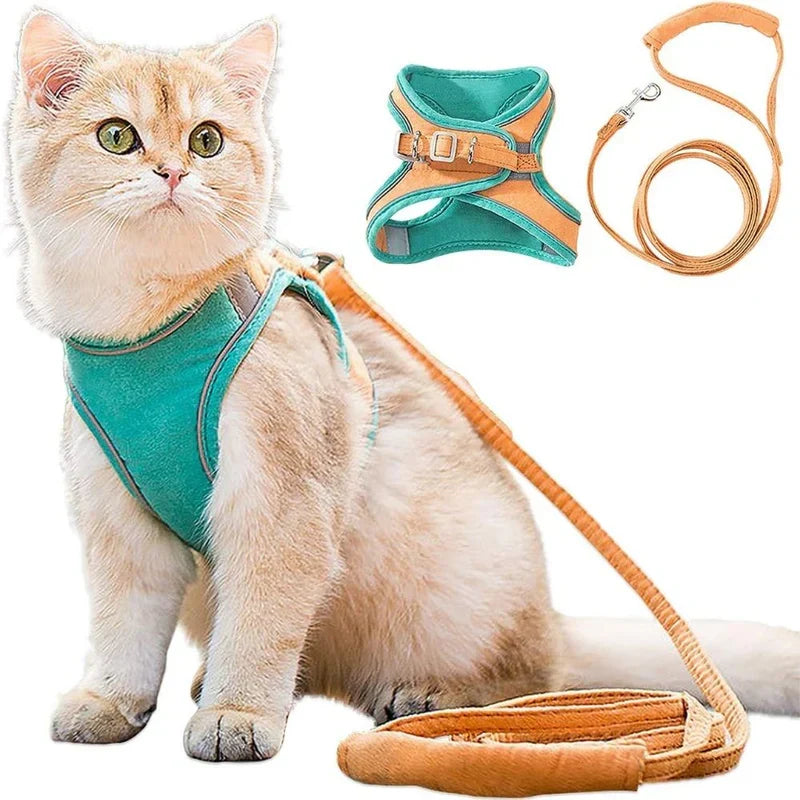 Breathable cat harness for comfortable outdoor walks and adventures.