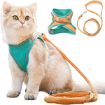 Orange - teal