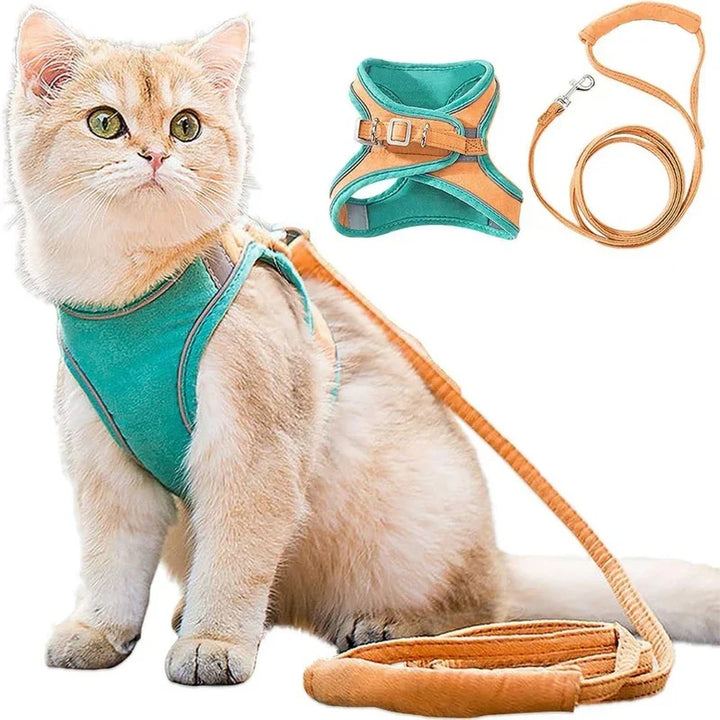 Breathable cat harness for comfortable outdoor walks and adventures.