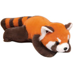 Red panda