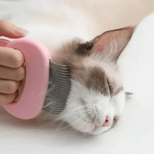 Soft bristled cat deshedding tool for effective fur care & pet grooming, part of essential cat accessories.