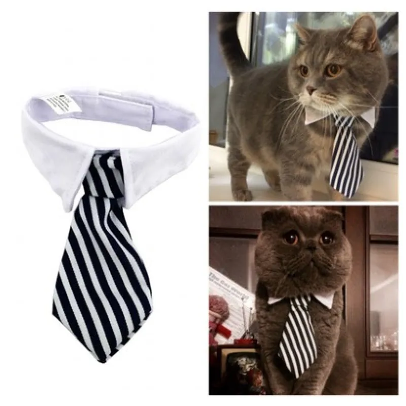 Unisex striped pet collar with a tie, fashionable accessory for any dog or cat.