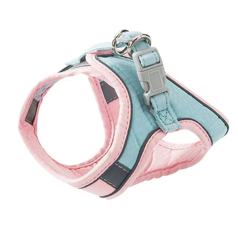 Ergonomic pet harness designed for your cat's ultimate comfort & safety.