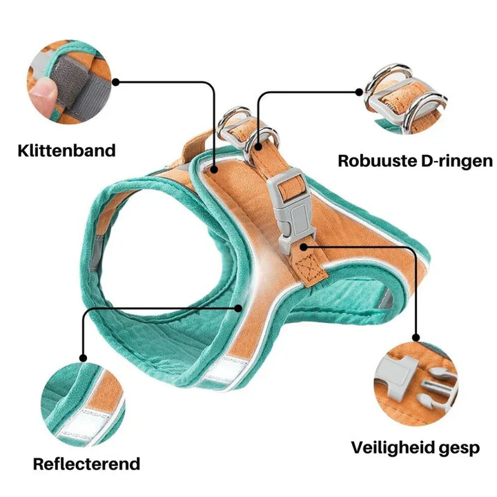 Reflective cat harness ensuring safety during night time outdoor adventures.