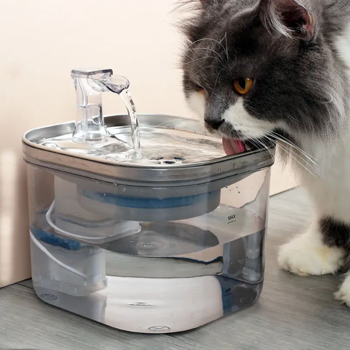 Modern cat water dispenser with multi-layer filtration, ensuring fresh, clean drinking water.