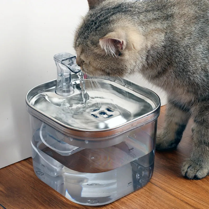 Pet hydration station with advanced filter system, ideal for multiple cats or dogs.