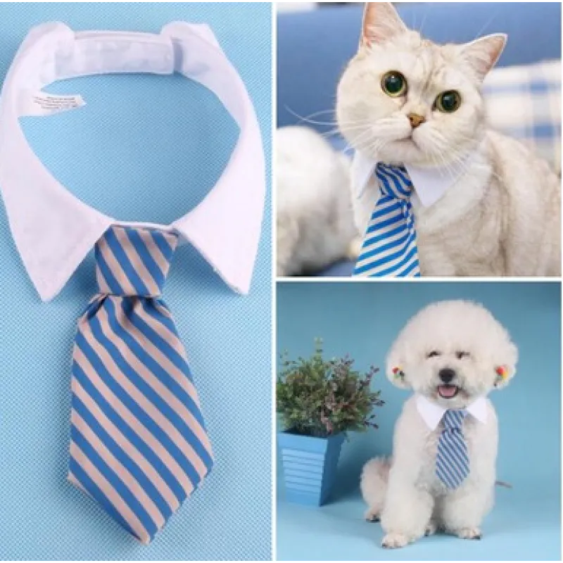 Cute striped pet fashion collar for dogs & cats, featuring a dapper bowtie.