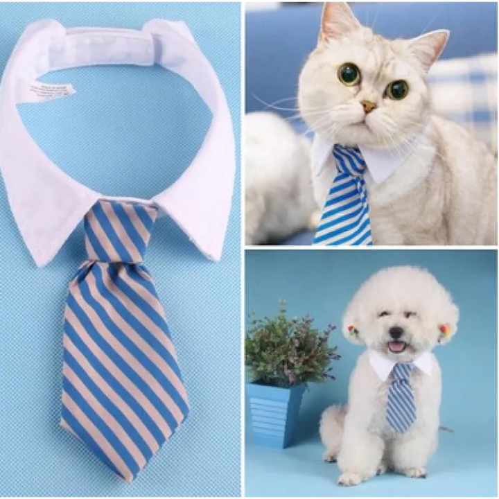 Cute striped pet fashion collar for dogs & cats, featuring a dapper bowtie.