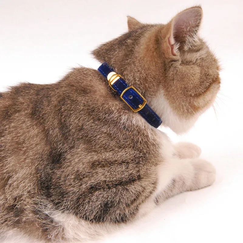 Soft velour cat collar with an elegant golden buckle, adjustable for a perfect fit.