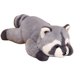 Raccoon