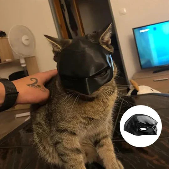 Superhero cat mask for parties & photoshoots, a fun pet costume accessory for adult cats & kittens.