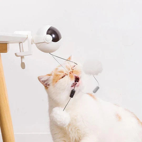 Automatic pet entertainment toy for cats. Offers interactive solo play, exercise, & mental enrichment.