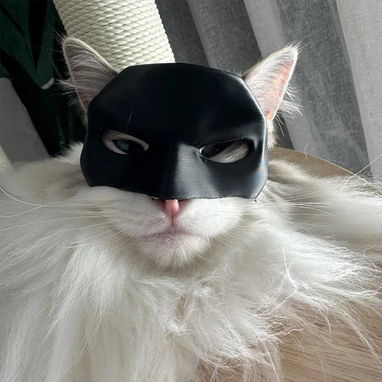 Close-up of a black Cat's Heroic Costume Mask, perfect for a funny pet photoshoot or Halloween party.